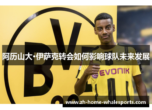 阿历山大·伊萨克转会如何影响球队未来发展